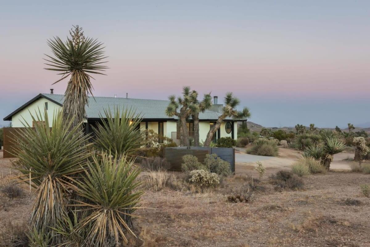 Villa Yucca Hut - Design Forward Oasis Near Joshua Tree Exterior foto