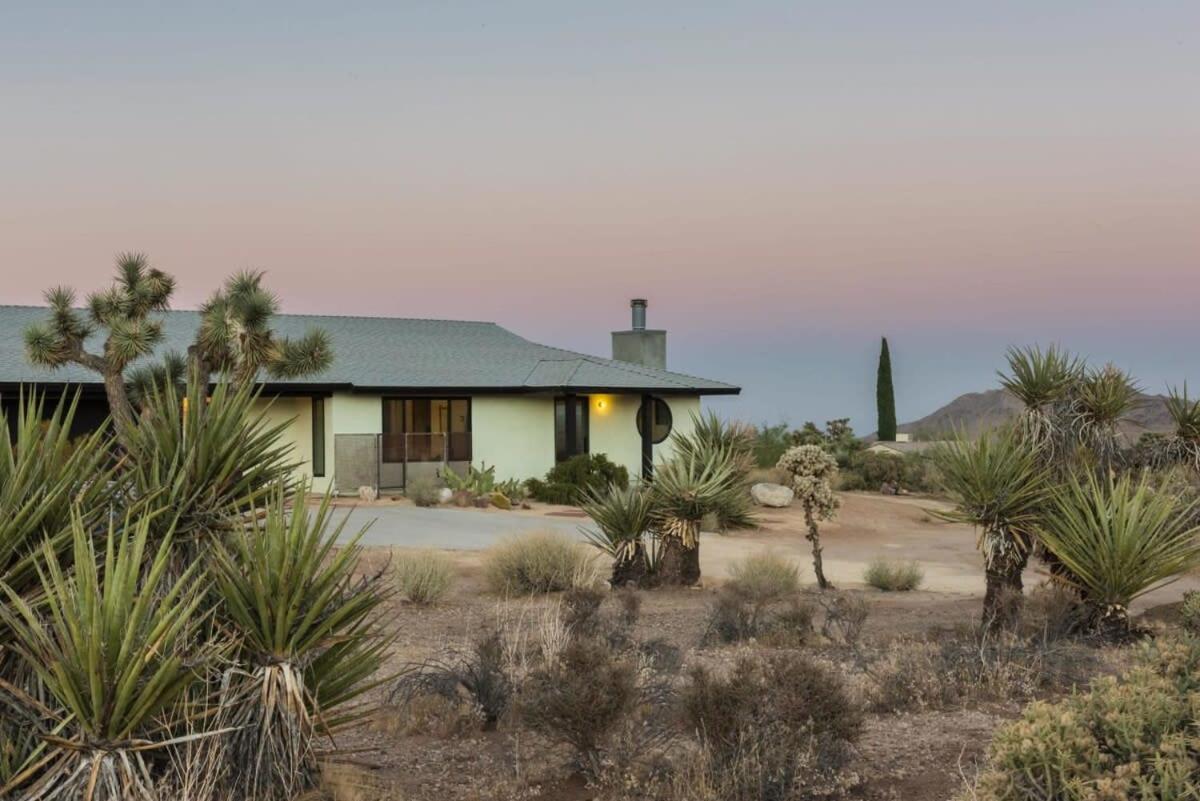 Villa Yucca Hut - Design Forward Oasis Near Joshua Tree Exterior foto