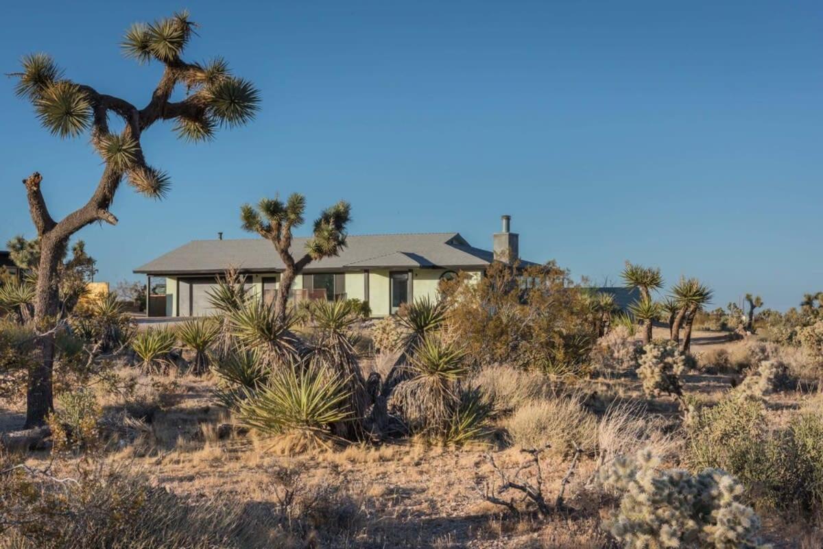 Villa Yucca Hut - Design Forward Oasis Near Joshua Tree Exterior foto